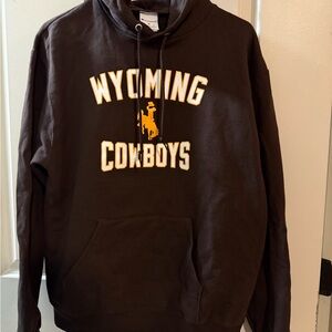 Wyoming Cowboys Champion Brown Hoodie